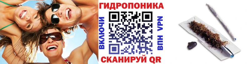 Купить закладку Полярные Зори A PVP  COCAIN  Мефедрон  Бошки Шишки 