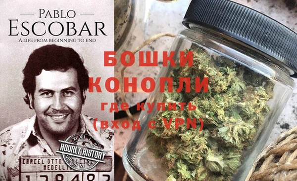 тгк Бикин