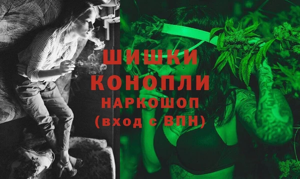 крисы Бежецк