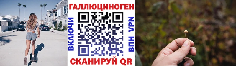 Галлюциногенные грибы Psilocybine cubensis Полярные Зори